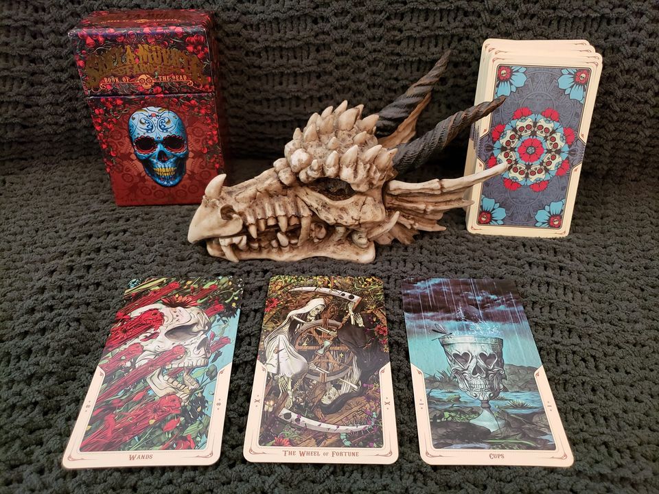 241535780_10158562415488857_1017763945585050178_n